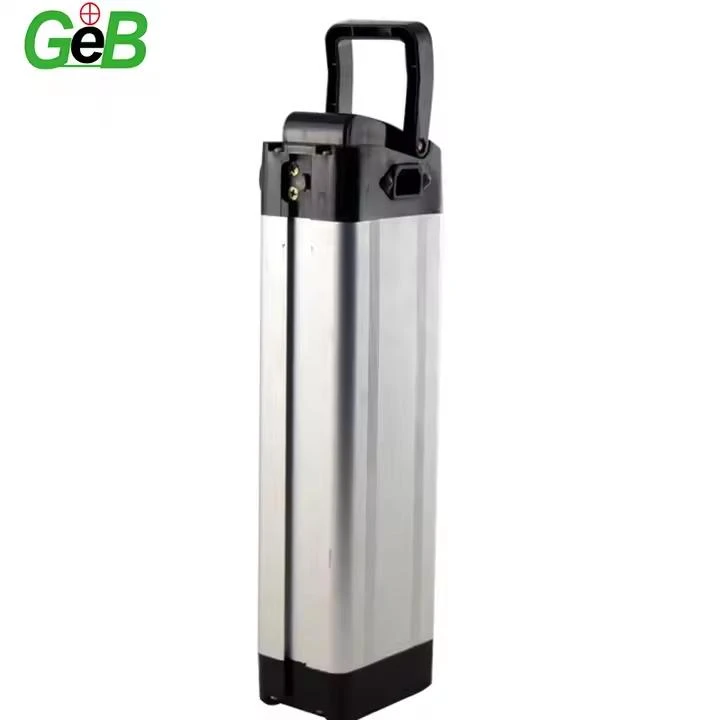 48V 30AH ایبائک بیٹری