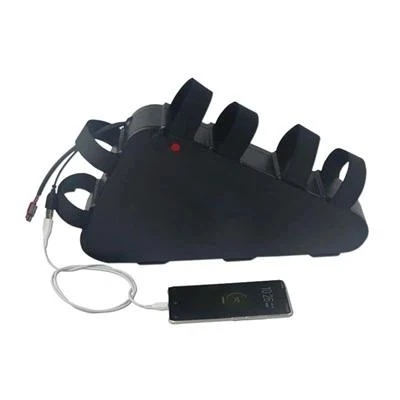 52V 30AH EBIKE بیٹری